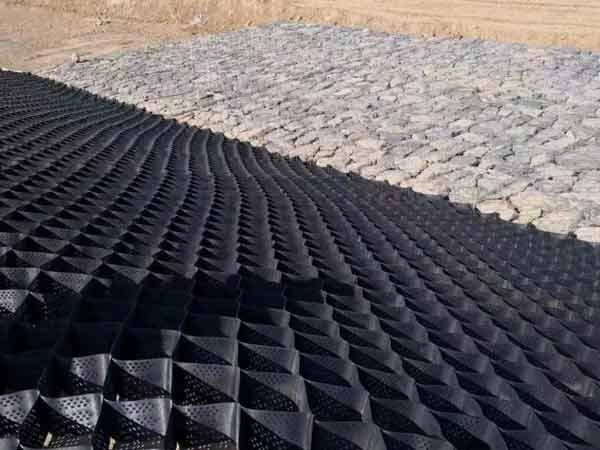 c(din)鿴Ԕ(x)Ϣ(bio)} xΔ(sh)1780