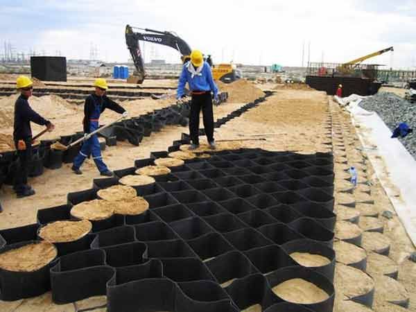 c(din)鿴Ԕ(x)Ϣ(bio)} xΔ(sh)1490