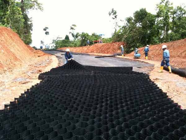 c(din)鿴Ԕ(x)Ϣ(bio)} xΔ(sh)1534